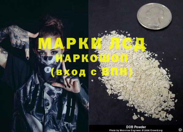 spice Новозыбков