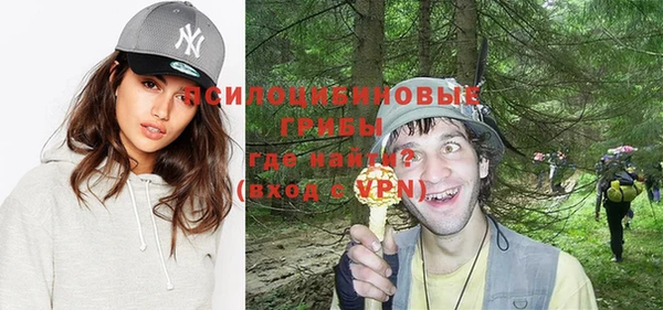 spice Новозыбков