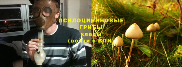 гидра Новокубанск