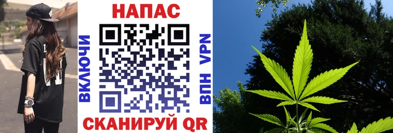 Шишки марихуана Amnesia Отрадная
